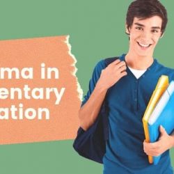 Education Diploma in Elementary Education (D.El.Ed) Course